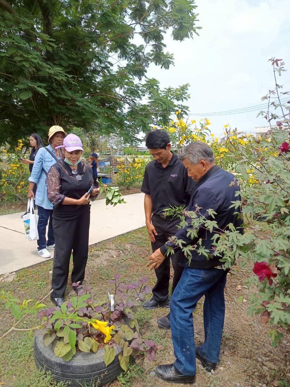 title - ศกร. หนุน “กองทุนฟื้นฟูฯ” พลิกโฉมเกษตรกรไทย! ปรับวิธีคิด-เติมเทคนิคการผลิต สร้างอำนาจต่อรองยุควิกฤตโลก